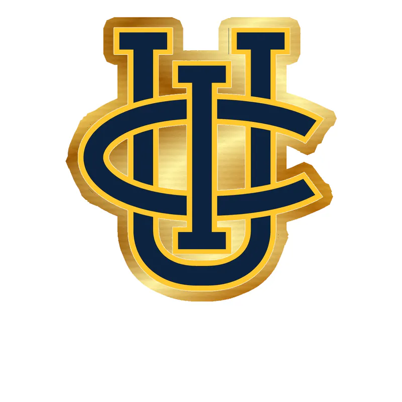 California Irvine Anteaters Gold Chrome Vinyl Decal - Custom Size