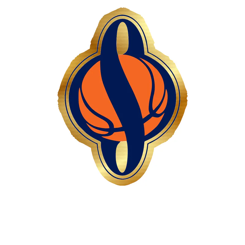 Syracuse Orange Gold Chrome Vinyl Decal - Custom Size