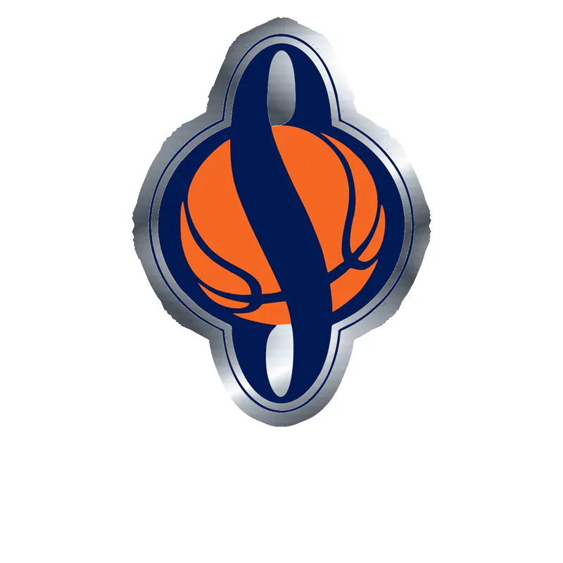 Syracuse Orange Silver Chrome Vinyl Decal - Custom Size