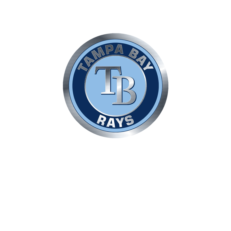 Tampa Bay Rays - Circle With Name - Silver Chrome Vinyl Sticker - Custom Size