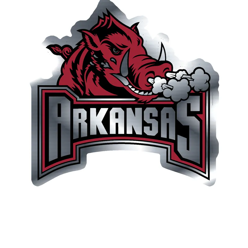 Arkansas Razorbacks - Image 18 - Silver Chrome Vinyl Decal - Custom Size