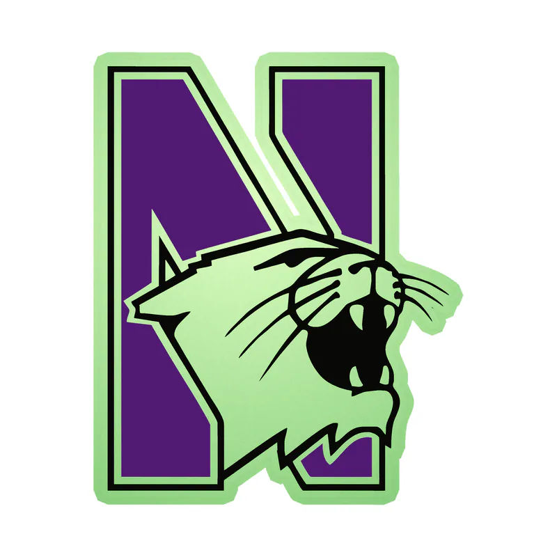 Northwestern Wildcats - N With Wildcat - Glow in the Dark Vinyl Decal - Custom Size