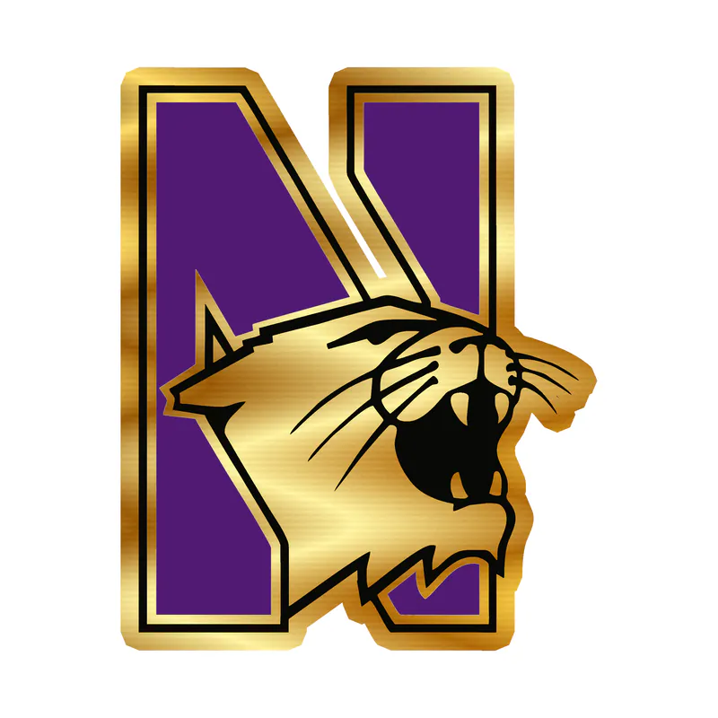 Northwestern Wildcats - N With Wildcat - Gold Chrome Vinyl Decal - Custom Size