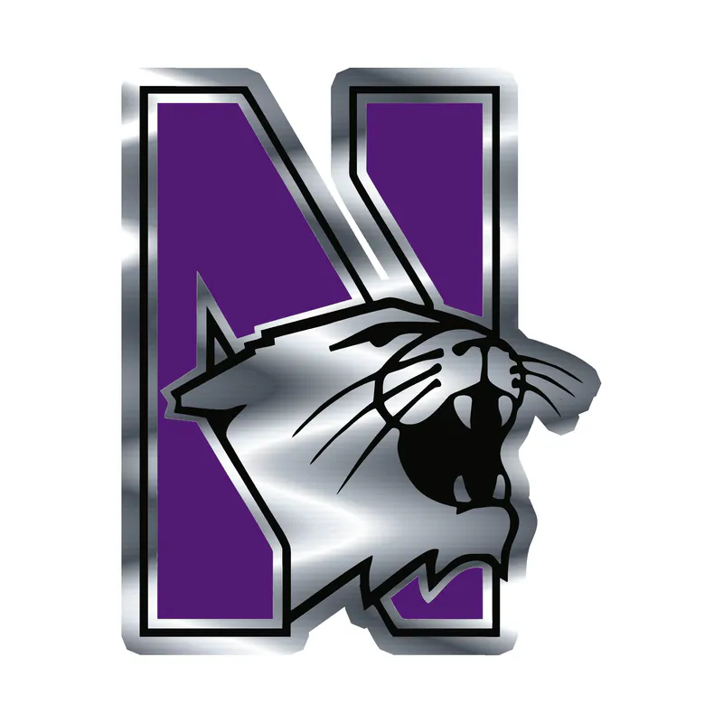 Northwestern Wildcats - N With Wildcat - Silver Chrome Vinyl Decal - Custom Size