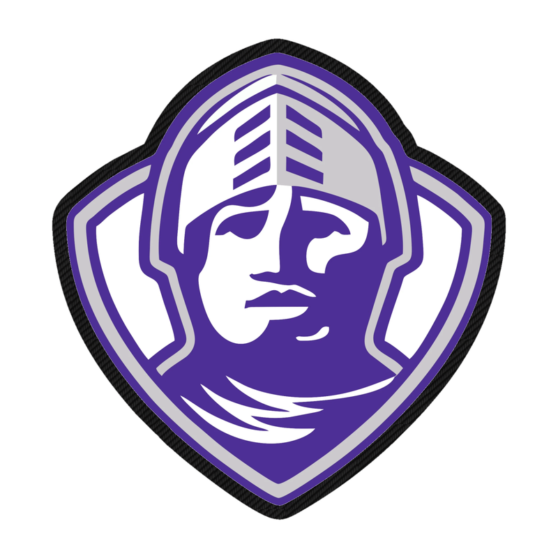 Furman Paladins - Image 3 - Carbon Fiber Vinyl Decal - Custom Size