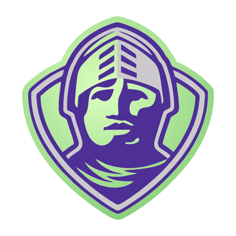Furman Paladins - Image 3 - Glow in the Dark Vinyl Decal - Custom Size
