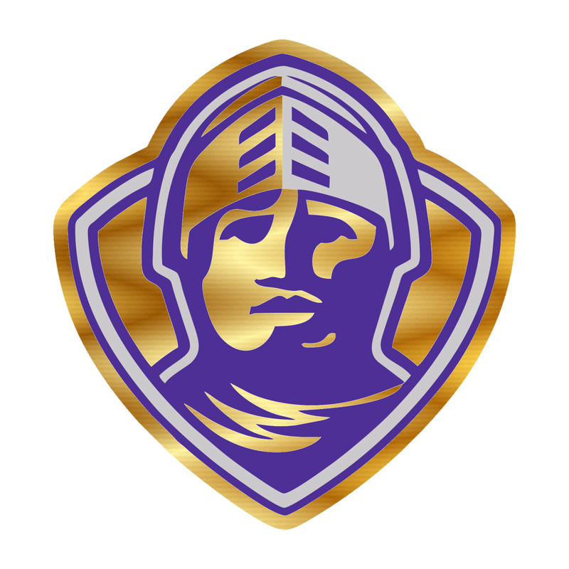 Furman Paladins - Image 3 - Gold Chrome Vinyl Decal - Custom Size