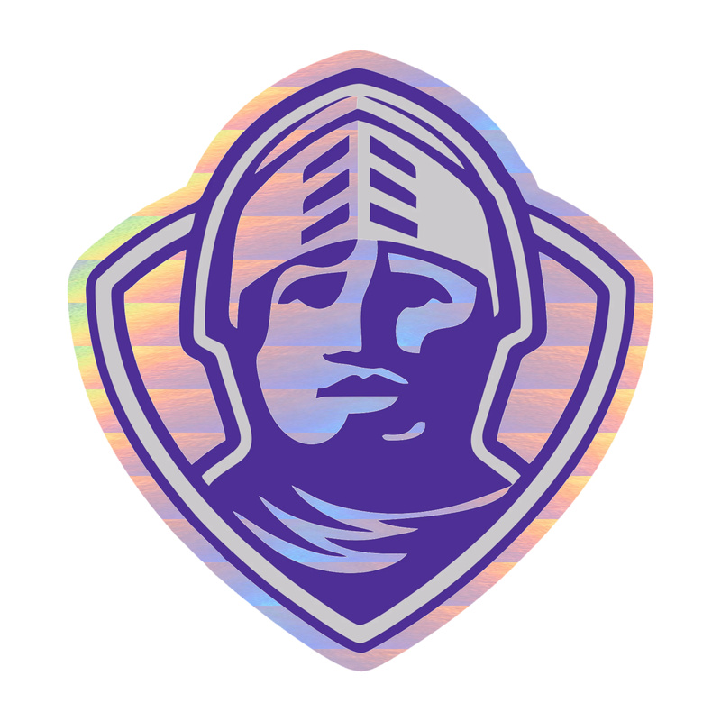 Furman Paladins - Image 3 - Holographic Vinyl Decal - Custom Size