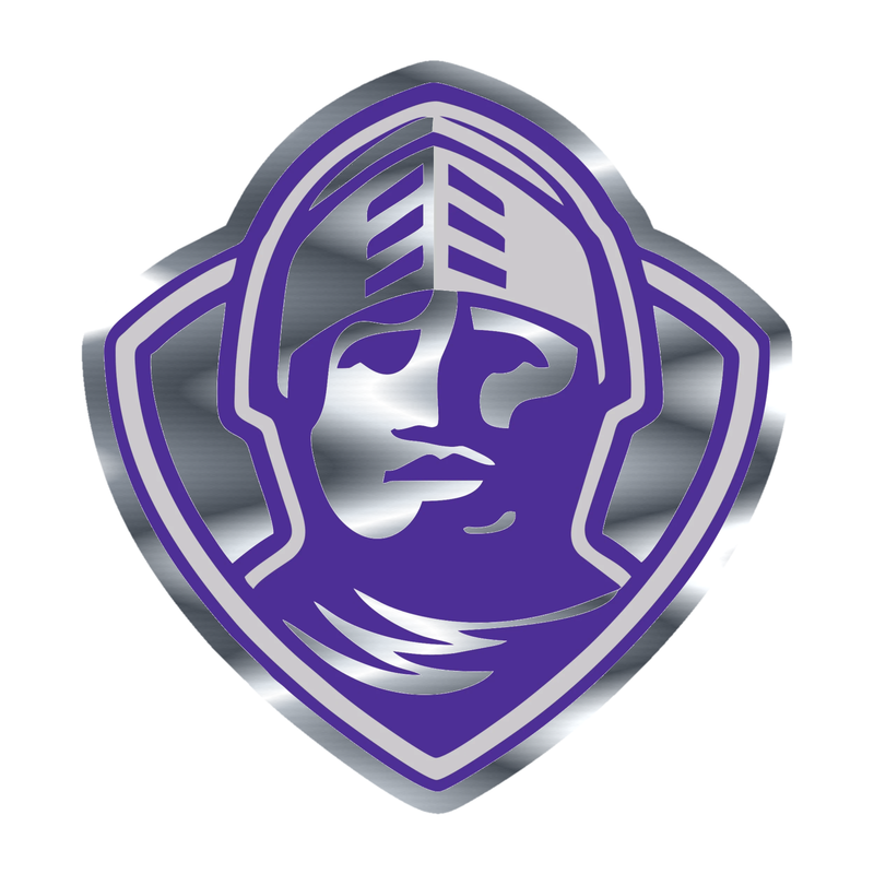 Furman Paladins - Image 3 - Silver Chrome Vinyl Decal - Custom Size