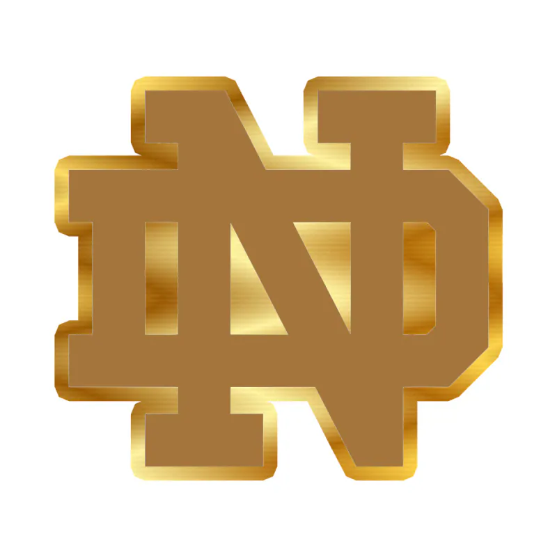 Notre Dame - Image 4 - Gold Chrome Vinyl Decal - Custom Size