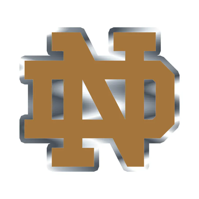 Notre Dame - Image 4 - Silver Chrome Vinyl Decal - Custom Size