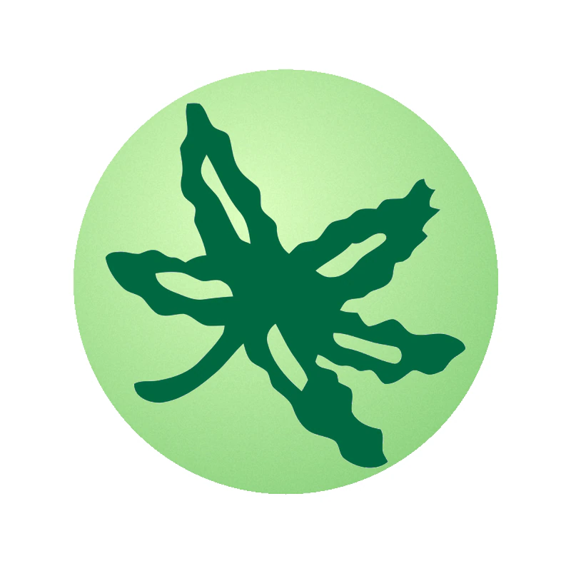 Ohio State Buckeyes - Circle Leaf - Glow in the Dark Vinyl Decal