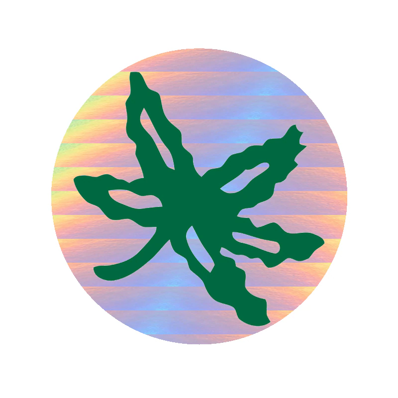 Ohio State Buckeyes - Circle Leaf - Holographic Vinyl Decal