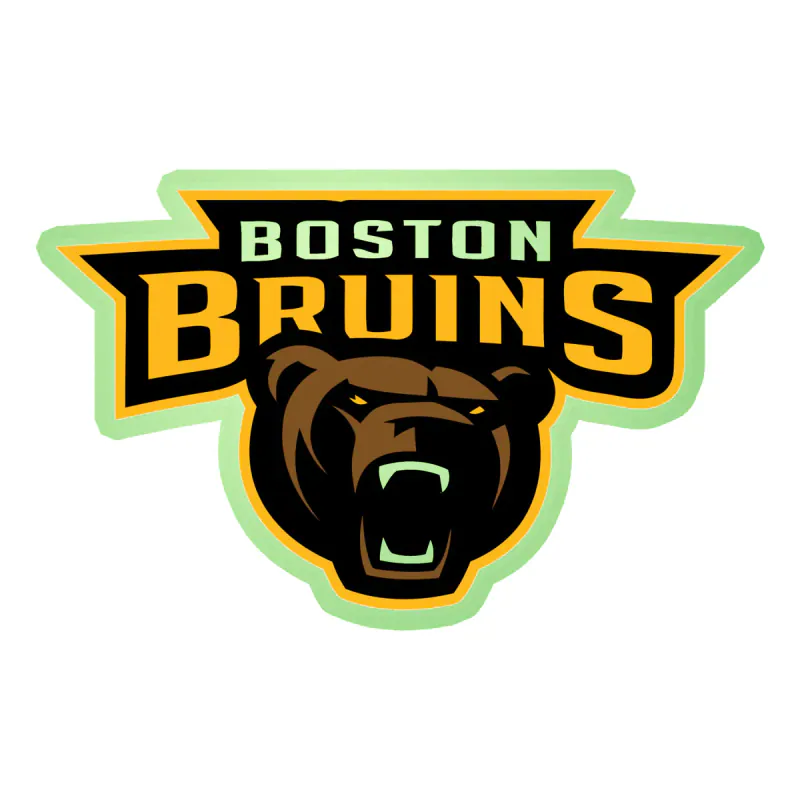 Boston Bruins - Name With Bear - Glow in the Dark Vinyl Sticker - Custom Size