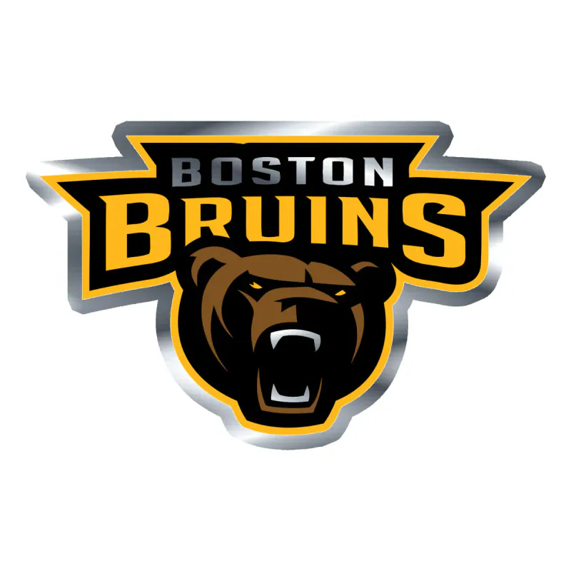 Boston Bruins - Name With Bear - Silver Chrome Vinyl Sticker - Custom Size