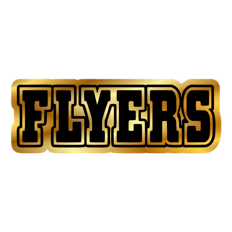 Philadelphia Flyers - Image 2 - Gold Chrome Vinyl Sticker - Custom Size