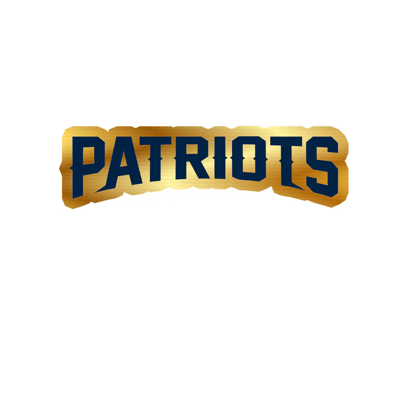 New England Patriots - Image 5 - Gold Chrome Vinyl Sticker - Custom Size