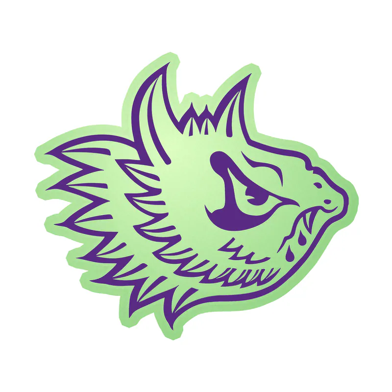 TCU Horned Frogs - Image 3 - Glow in the Dark Vinyl Decal - Custom Size