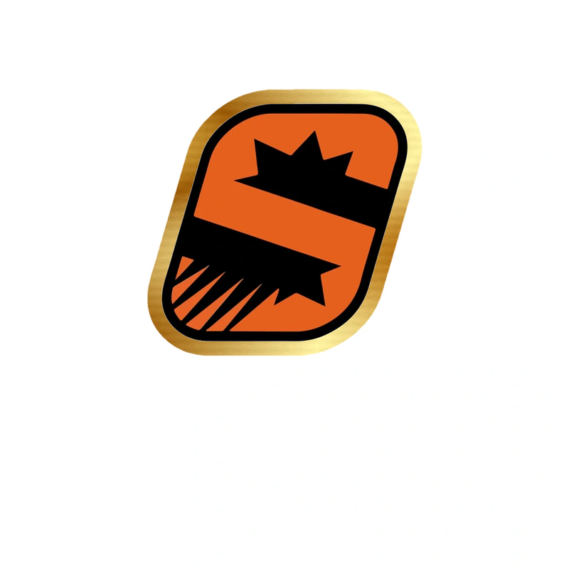 Phoenix Suns - Image 10 - Gold Chrome Vinyl Sticker - Custom Size
