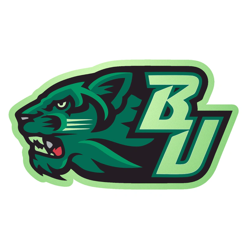 Binghamton Bearcats - Image 1 - Glow in the Dark Vinyl Decal - Custom Size