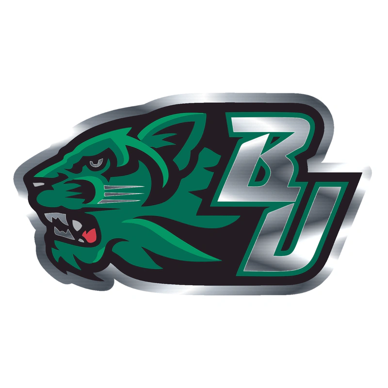 Binghamton Bearcats - Image 1 - Silver Chrome Vinyl Decal - Custom Size