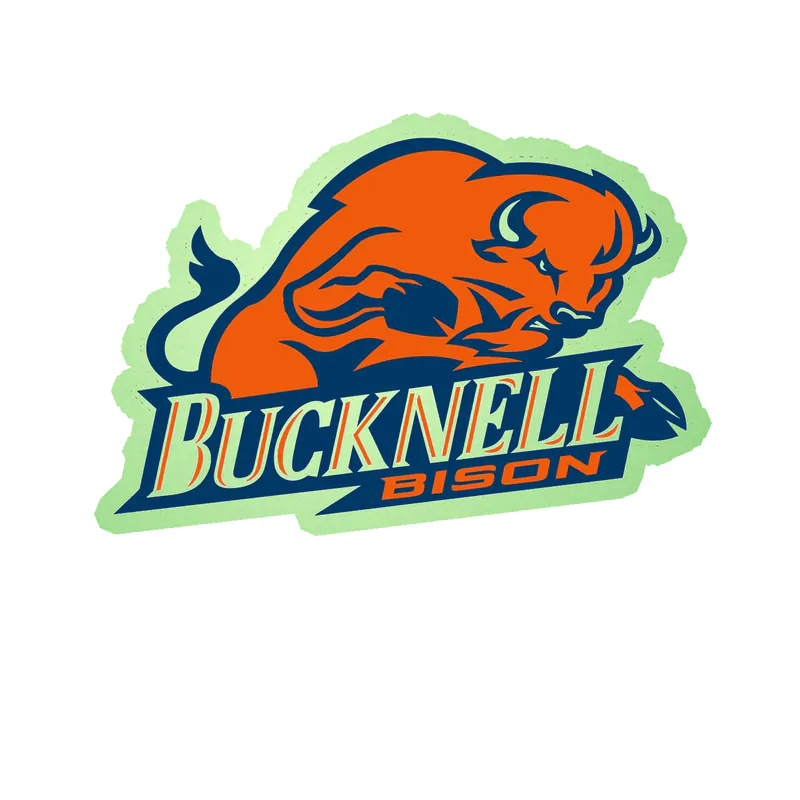 Bucknell Bison - Image 1 - Glow in the Dark Vinyl Decal - Custom Size