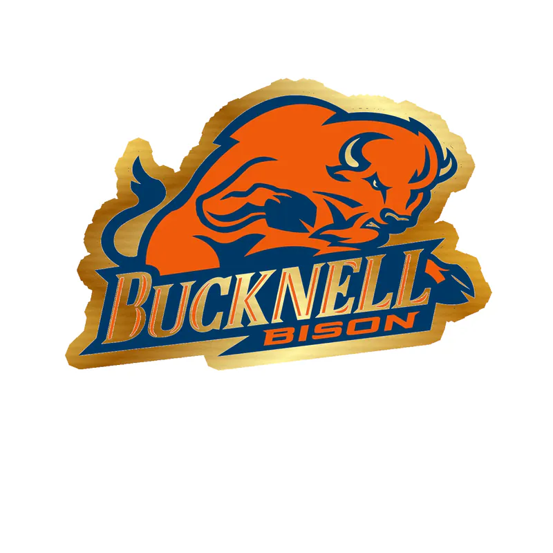 Bucknell Bison - Image 1 - Gold Chrome Vinyl Decal - Custom Size