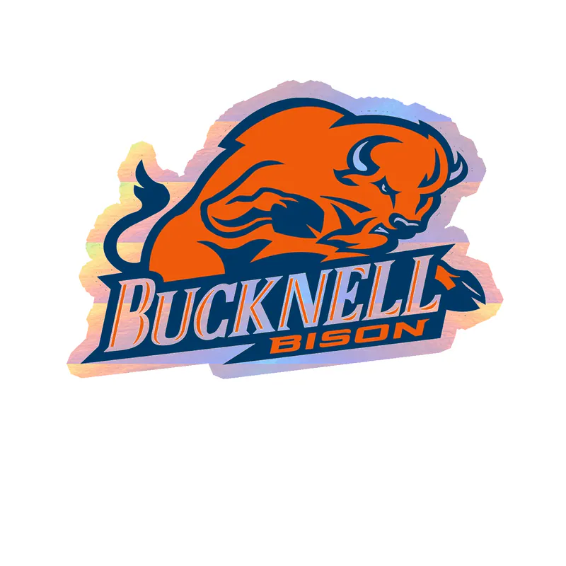 Bucknell Bison - Image 1 - Holographic Vinyl Decal - Custom Size