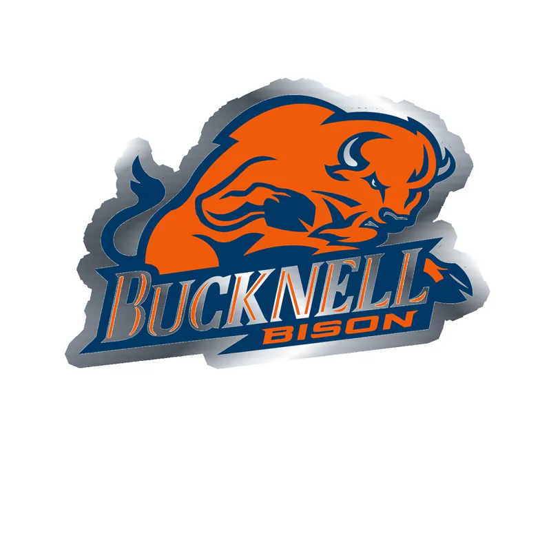 Bucknell Bison - Image 1 - Silver Chrome Vinyl Decal - Custom Size
