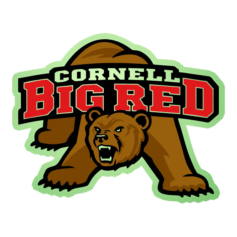 Cornell Big Red - Image 2 - Glow in the Dark Vinyl Decal - Custom Size