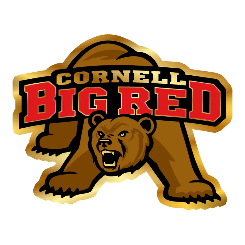 Cornell Big Red - Image 2 - Gold Chrome Vinyl Decal - Custom Size