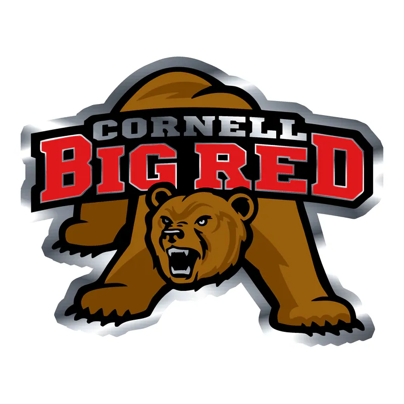Cornell Big Red - Image 2 - Silver Chrome Vinyl Decal - Custom Size