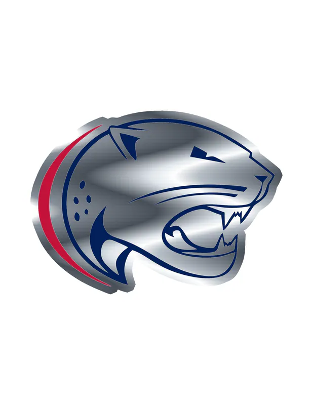 University of South Alabama - Image 2 - Silver Chrome Vinyl Decal - Custom Size