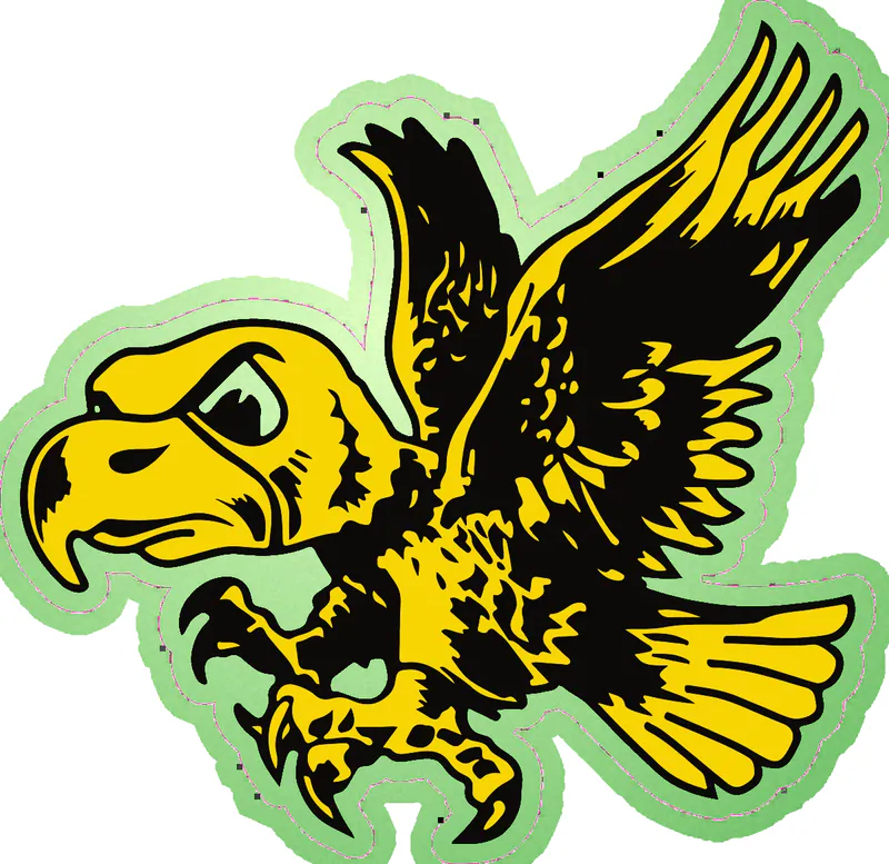 Iowa Hawkeyes - Hawk - Image 2 - Glow in the Dark Vinyl Decal - Custom Size