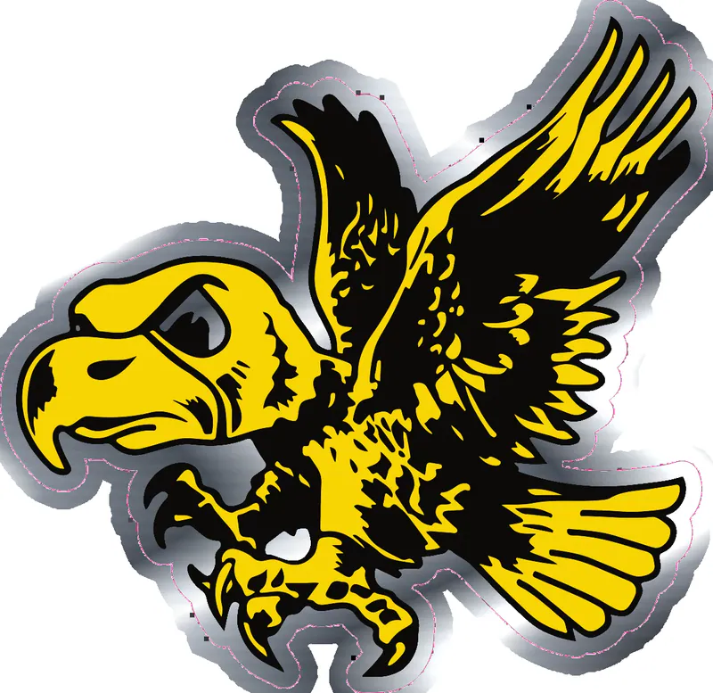 Iowa Hawkeyes - Hawk - Image 2 - Silver Chrome Vinyl Decal - Custom Size