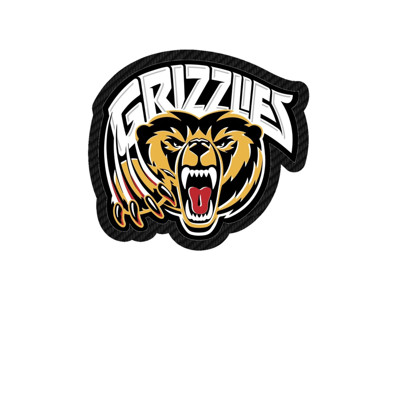 Memphis Grizzlies - Image 3 - Carbon Fiber Vinyl Sticker - Custom Size