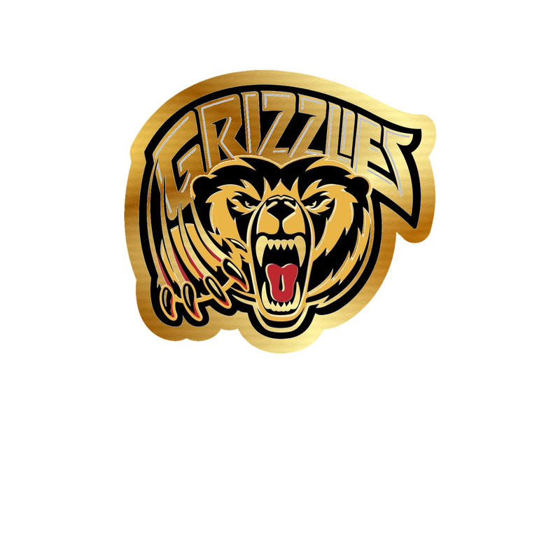 Memphis Grizzlies - Image 3 - Gold Chrome Vinyl Sticker - Custom Size