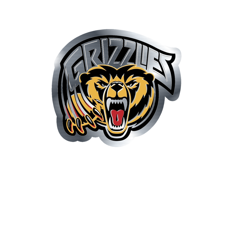 Memphis Grizzlies - Image 3 - Silver Chrome Vinyl Sticker - Custom Size