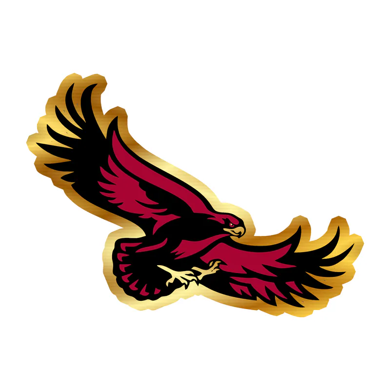 St. Joseph's Hawks - Image 2 - Gold Chrome Vinyl Decal - Custom Size