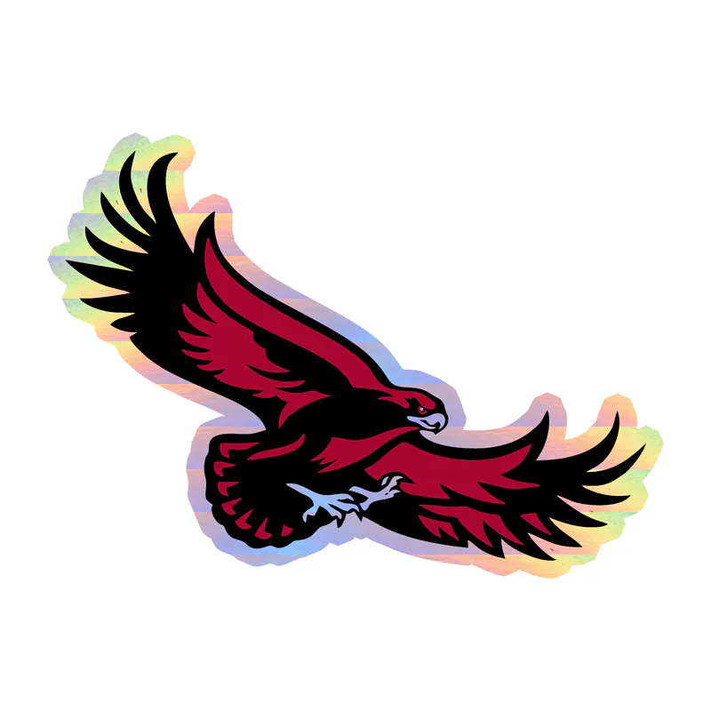 St. Joseph's Hawks - Image 2 - Holographic Vinyl Decal - Custom Size