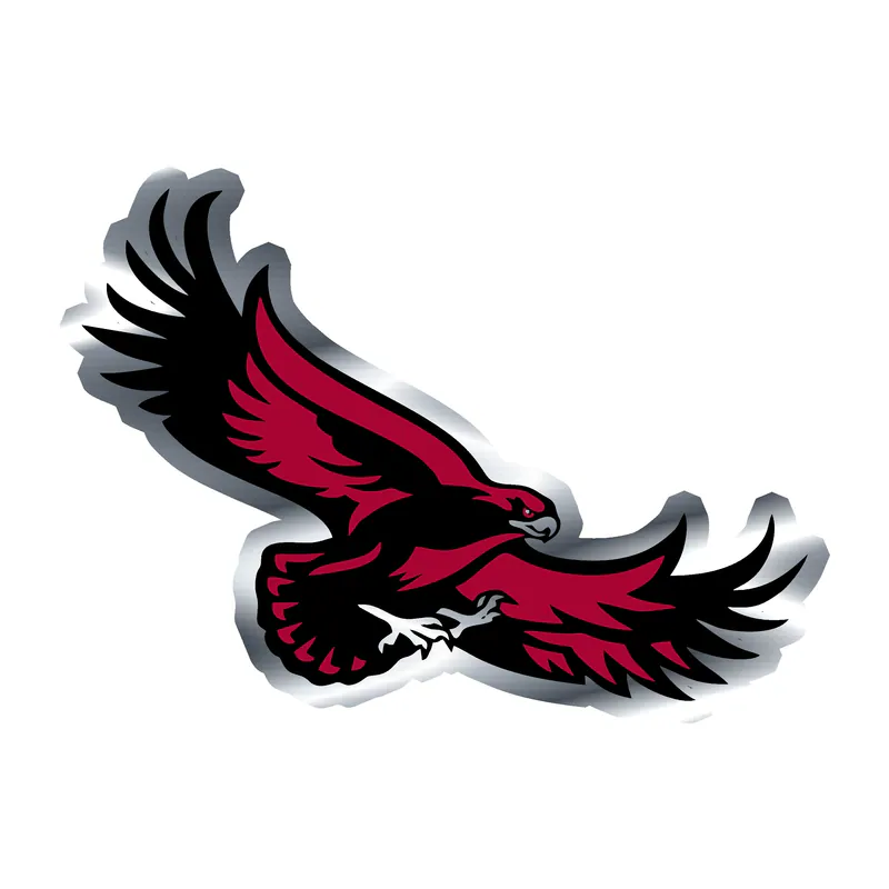 St. Joseph's Hawks - Image 2 - Silver Chrome Vinyl Decal - Custom Size