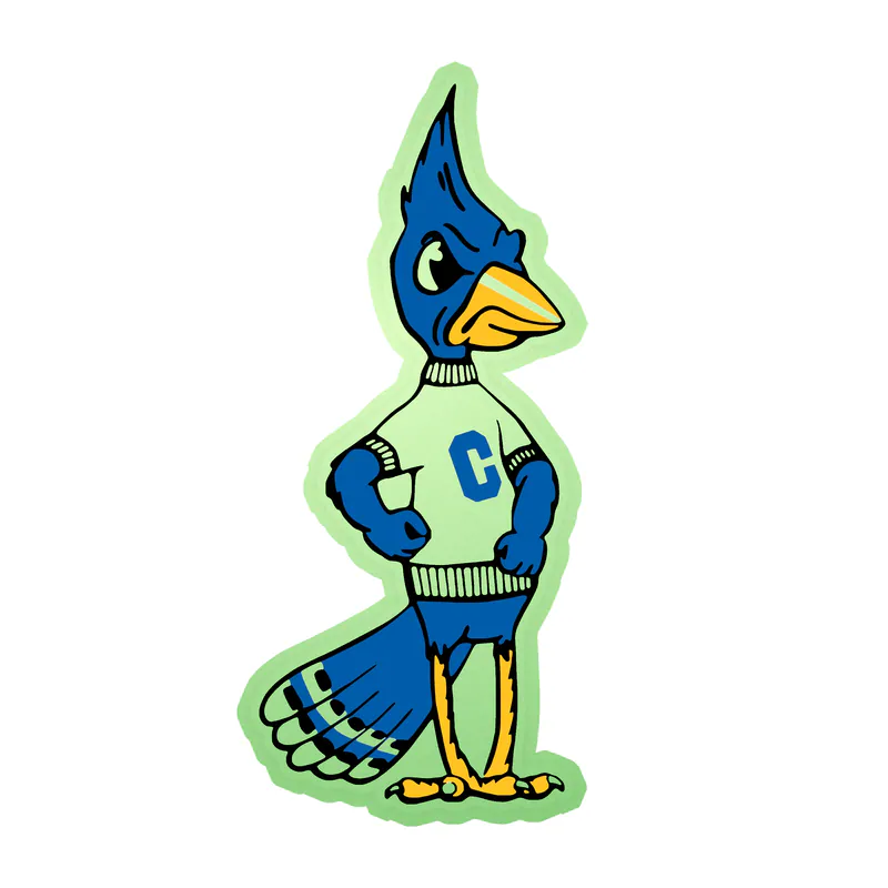 Creighton Blue Jays- Bird- Glow in the Dark Vinyl Decal - Custom Size