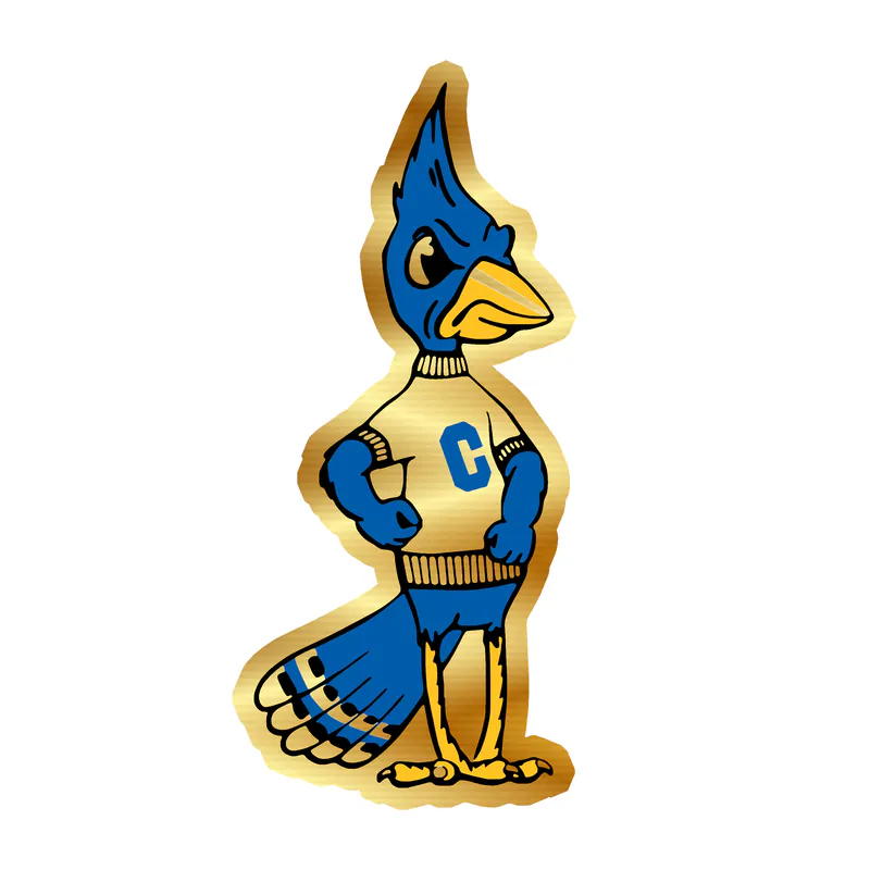 Creighton Blue Jays- Bird- Gold Chrome Vinyl Decal - Custom Size