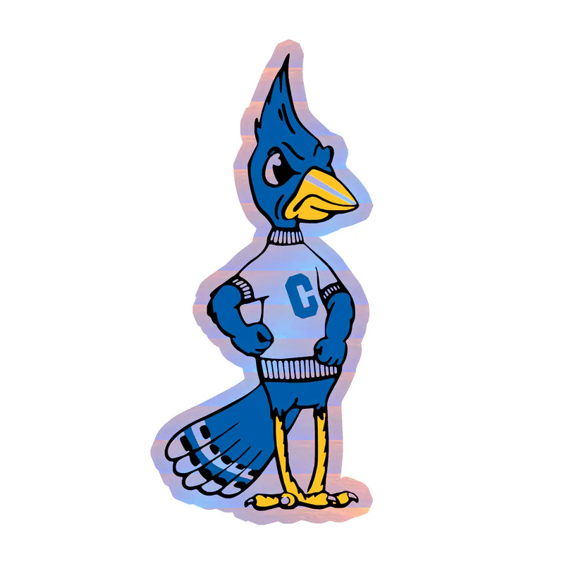 Creighton Blue Jays- Bird- Holographic Vinyl Decal - Custom Size