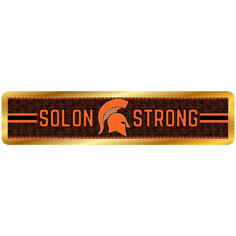 Michigan State Spartans Gold Chrome Vinyl Decal - Custom Size