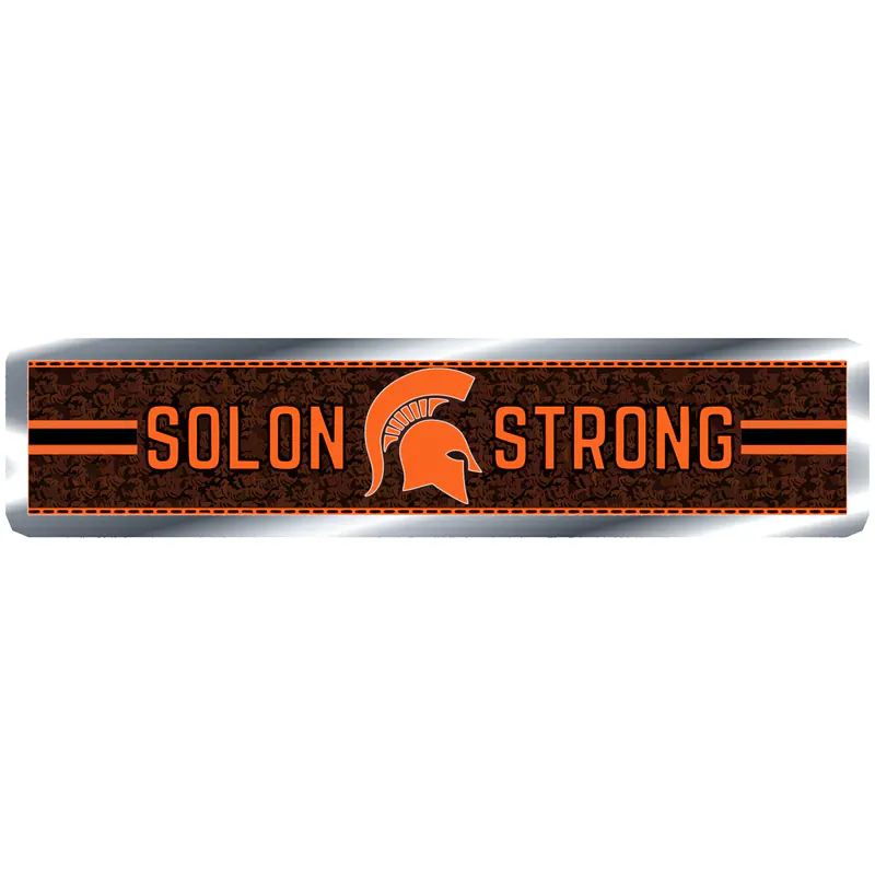 Michigan State Spartans Silver Chrome Vinyl Decal - Custom Size