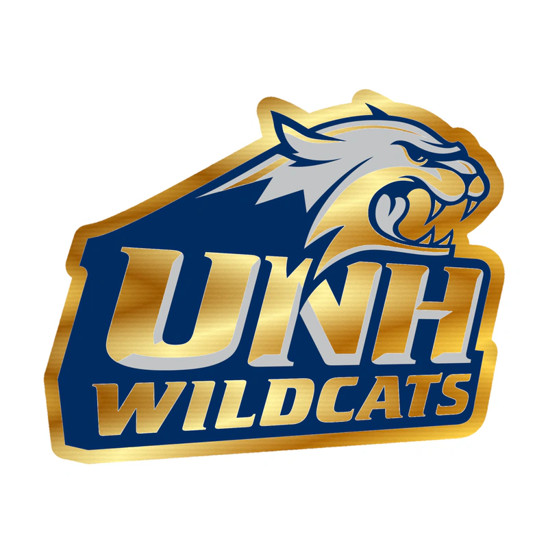 New Hampshire Wildcats Gold Chrome Vinyl Decal - Custom Size
