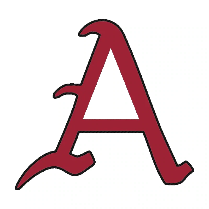 Arkansas Razorbacks - Image 7 - Carbon Fiber Vinyl Decal - Custom Size