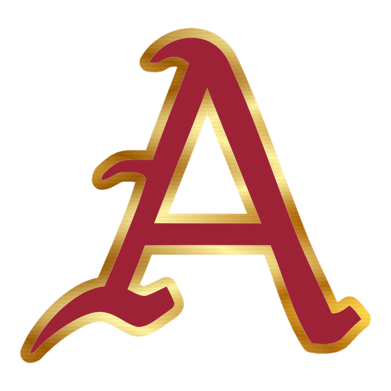 Arkansas Razorbacks - Image 7 - Gold Chrome Vinyl Decal - Custom Size