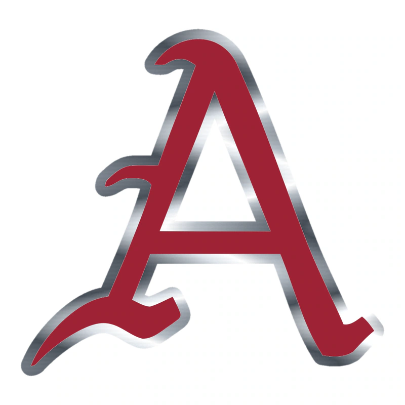 Arkansas Razorbacks - Image 7 - Silver Chrome Vinyl Decal - Custom Size